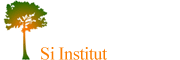 Si-Institut